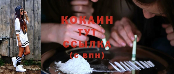 тгк Инсар