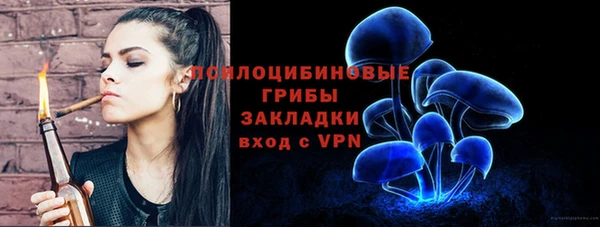 ALPHA PVP Иннополис