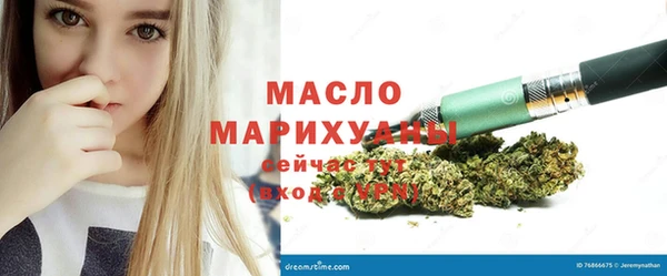 тгк Инсар
