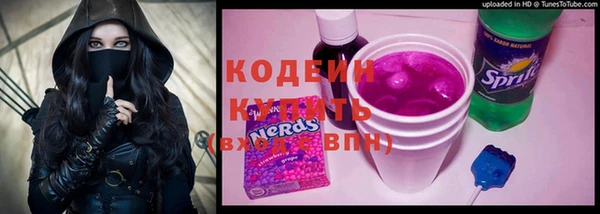 тгк Инсар