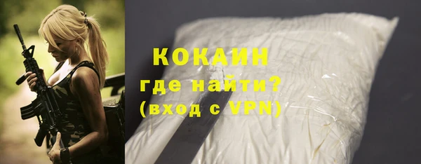тгк Инсар