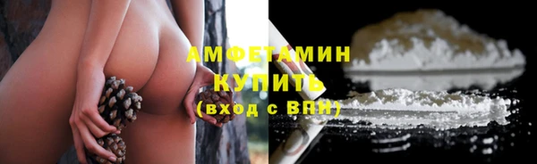тгк Инсар