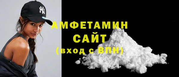 тгк Инсар