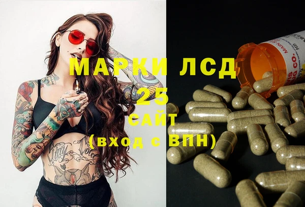 тгк Инта