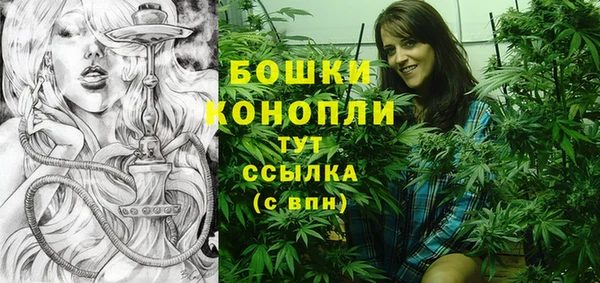 ALPHA PVP Иннополис