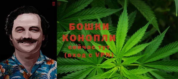 тгк Инта