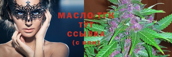 тгк Инта