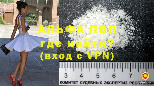 тгк Инсар