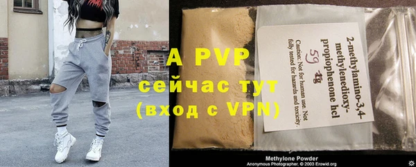 ALPHA PVP Иннополис
