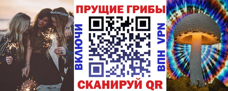 Купить где  Мензелинск  Галлюциногенные грибы мухоморы 